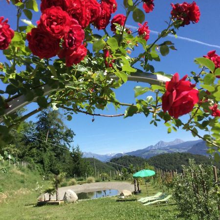 Pichler-Hof Lägenhet Predonico Exteriör bild
