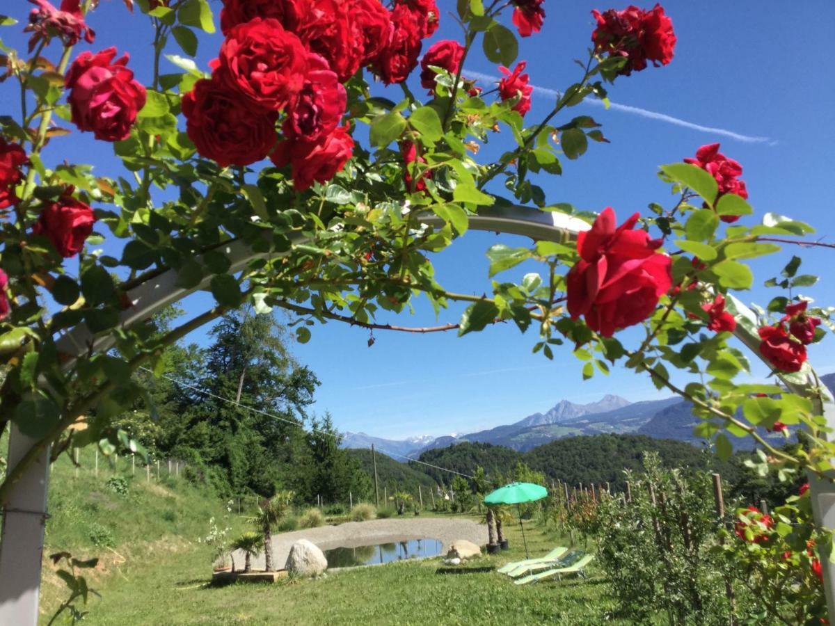 Pichler-Hof Lägenhet Predonico Exteriör bild