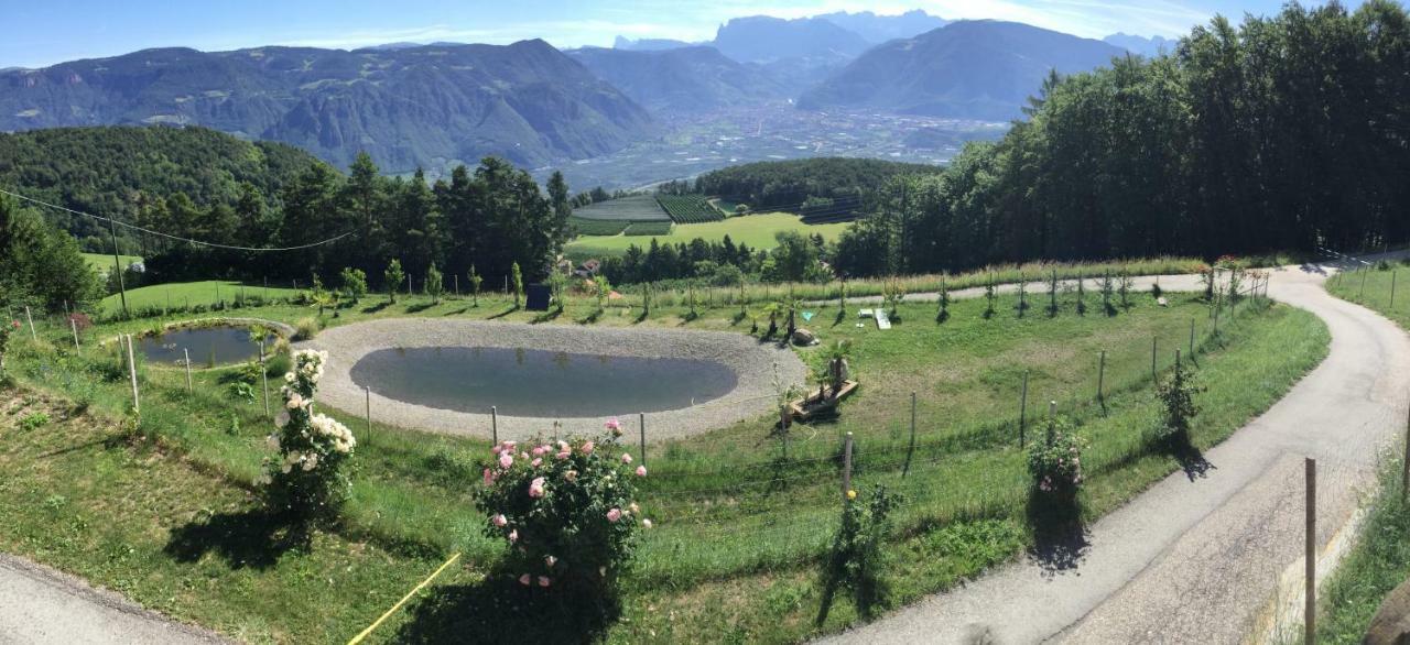 Pichler-Hof Lägenhet Predonico Exteriör bild