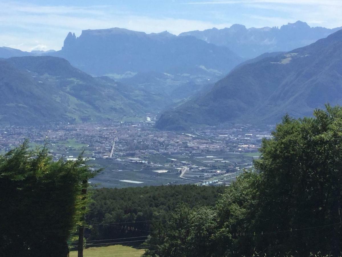 Pichler-Hof Lägenhet Predonico Exteriör bild
